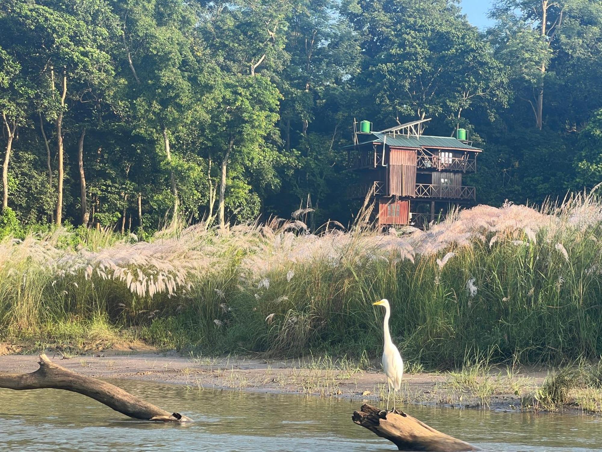 Hotel Chitwan Park Village Sauraha Exterior photo